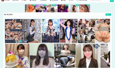 141JAV