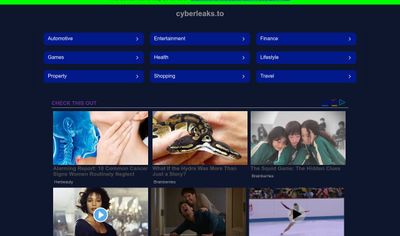CyberLeaks