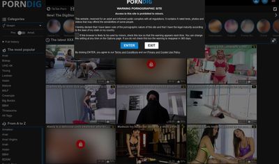 PornDig