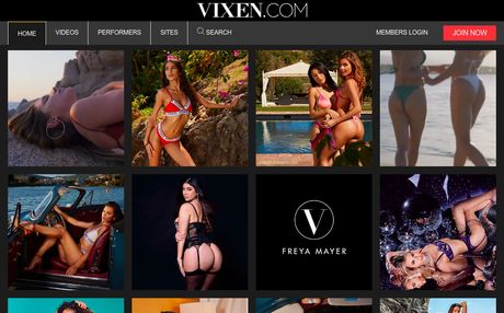 Vixen